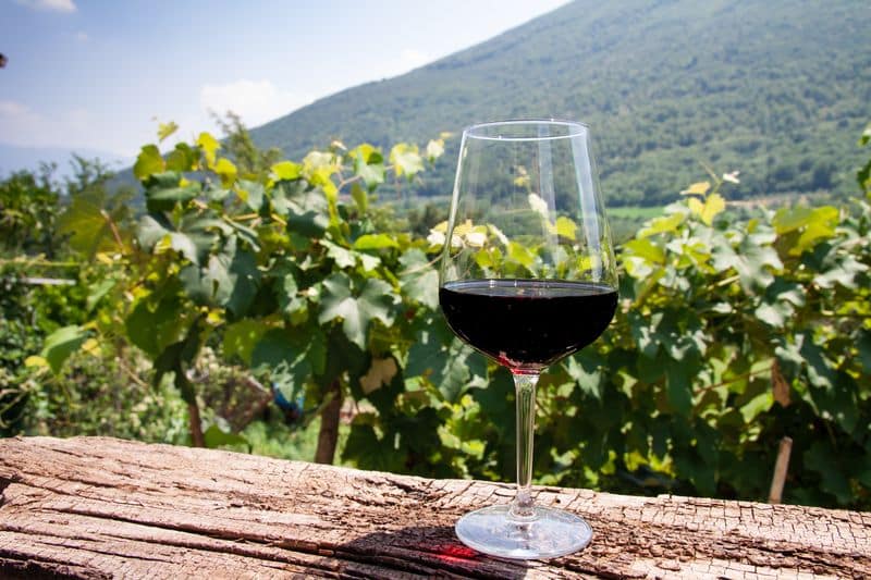 Włoskie wina – smaki, które pokochasz