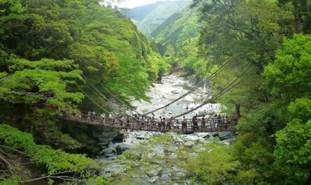 Nietypowa Japonia