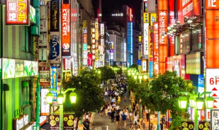 Złoty Trójkąt Japonii wycieczka co zobaczyć